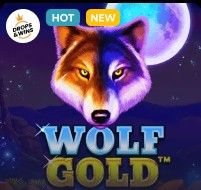 Wolf Gold at Lucky Dreams